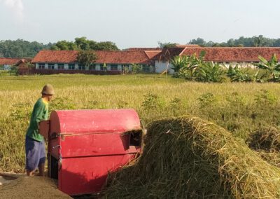 Petani Tenjolayar Panen Musim Tanam Pertama
