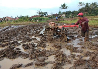 Musim Tanam Kedua Mulai Tiba